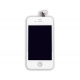 OEM Display Unit Wit voor Apple iPhone 4